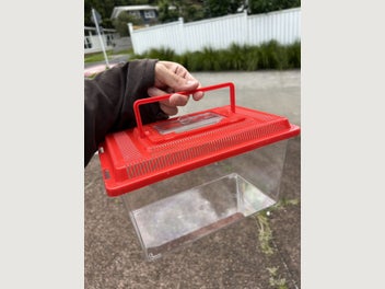 Image 1 of 6