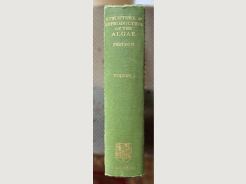 Image 1 of 13