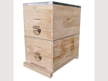 Image 1 of 7