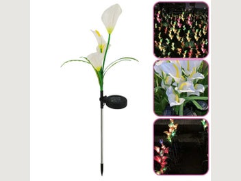 Image 1 of 19