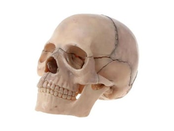 Image 1 of 10
