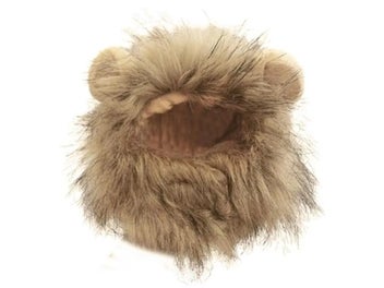 Image 1 of 10