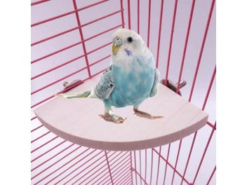 Image 1 of 9