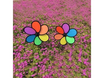 Image 1 of 9