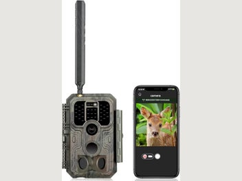 Image 1 of 7