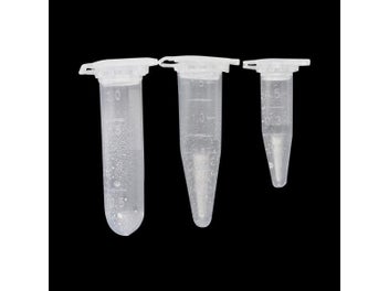 Image 1 of 9