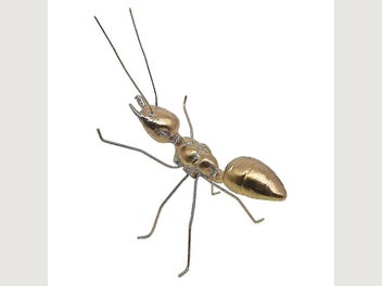 Image 1 of 4