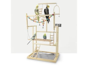 Image 1 of 8
