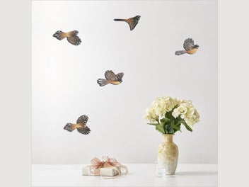 Image 1 of 7