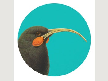 Image 1 of 1