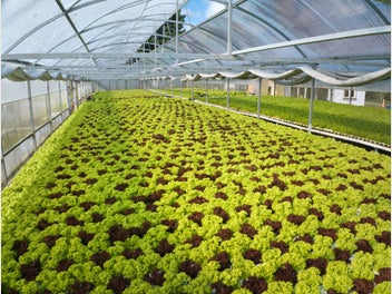 Image 1 of 20