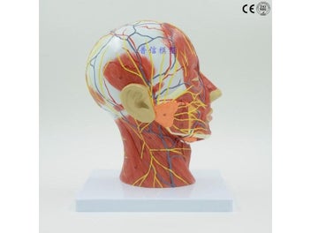 Image 1 of 9