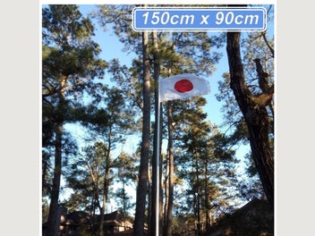 Image 1 of 13