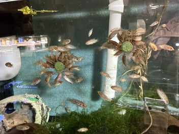 Image 1 of 16