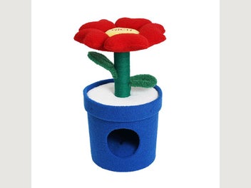 Image 1 of 7