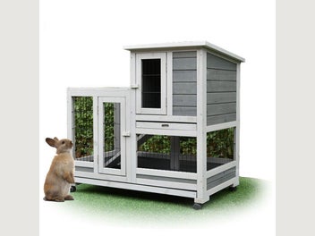 Image 1 of 12