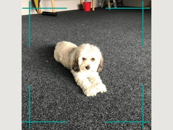Image 1 of 20