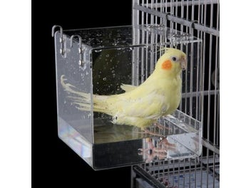 Image 1 of 10