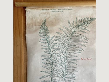 Image 1 of 9