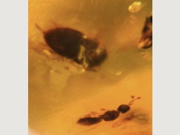 Image 1 of 11