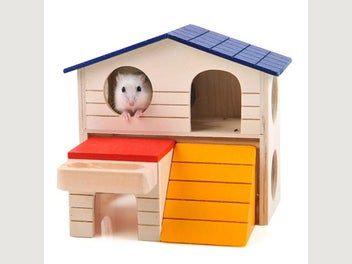Image 1 of 5