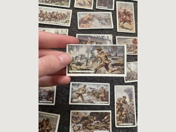 Image 1 of 17