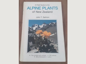Image 1 of 12