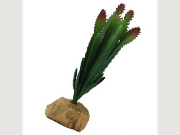 Image 1 of 20