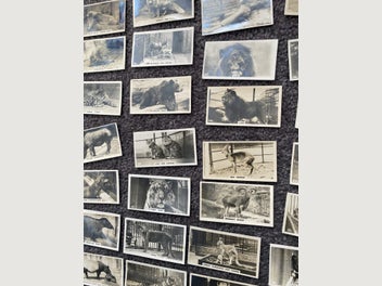 Image 1 of 10