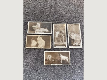 Image 1 of 20