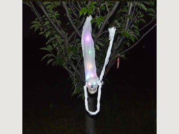 Image 1 of 4