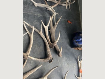 Image 1 of 14