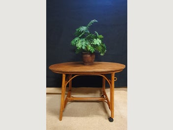 Image 1 of 19