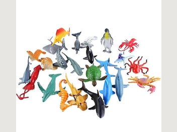 Image 1 of 5