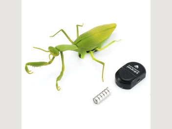Image 1 of 5
