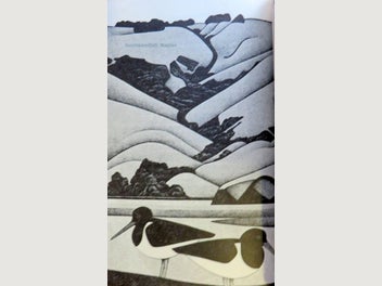 Image 1 of 9