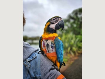 Image 1 of 1