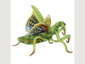 Image 1 of 1