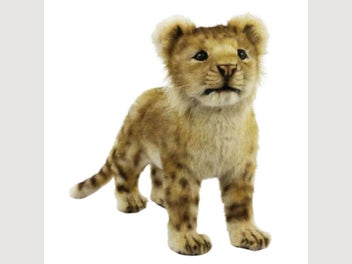 Image 1 of 1
