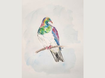 Image 1 of 11