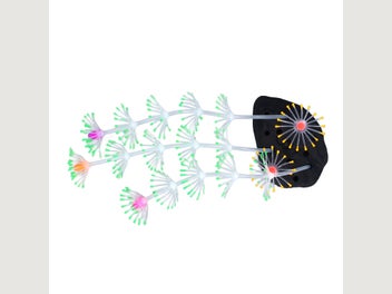 Image 1 of 20