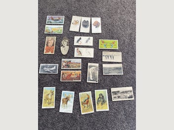 Image 1 of 13