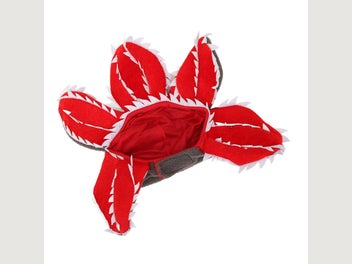Image 1 of 8