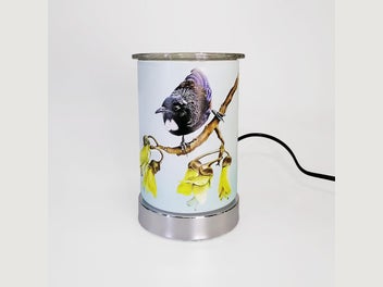 Image 1 of 3