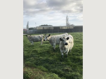 Image 1 of 10