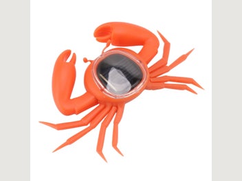 Image 1 of 8