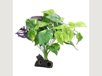 Image 1 of 8