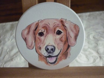 Image 1 of 5