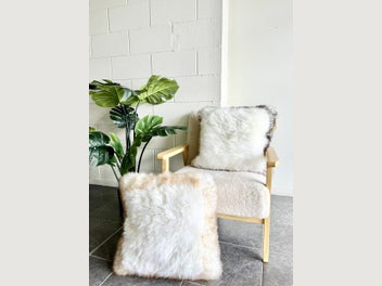Image 1 of 15