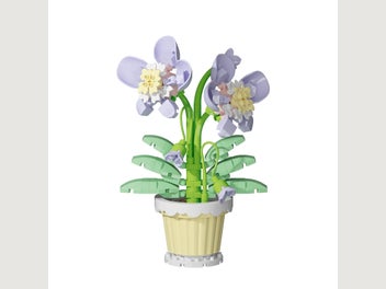 Image 1 of 7